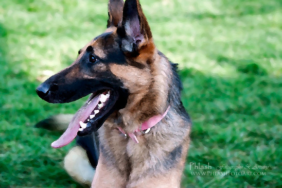 Lexie