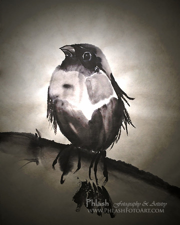 Ink Bird