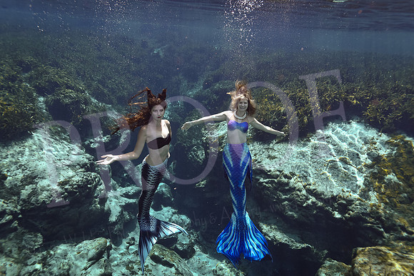 Lindsay & Alys-116