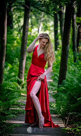 Preset Proofs-11