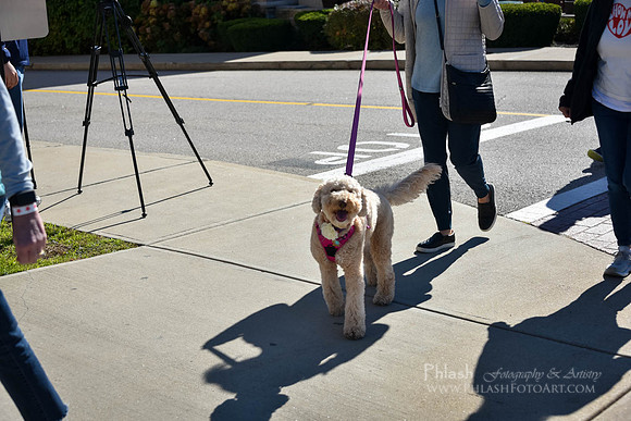 SORI Walkathon-237