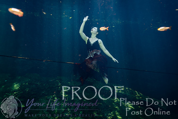 Joxie Made-95