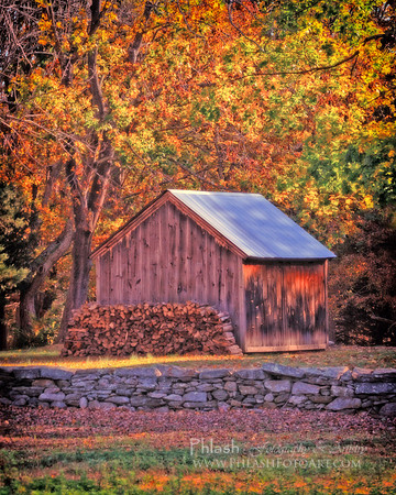 Autumn Woodshed