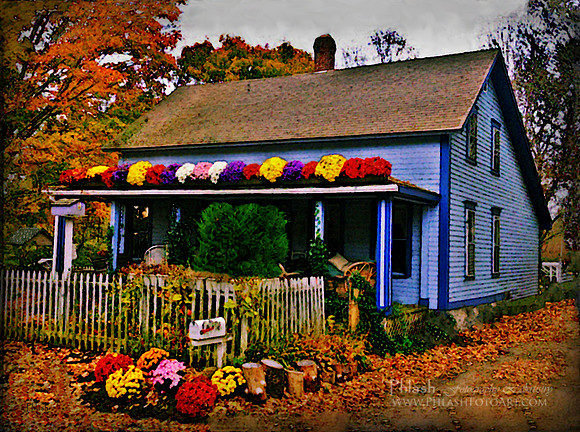 The Homestead