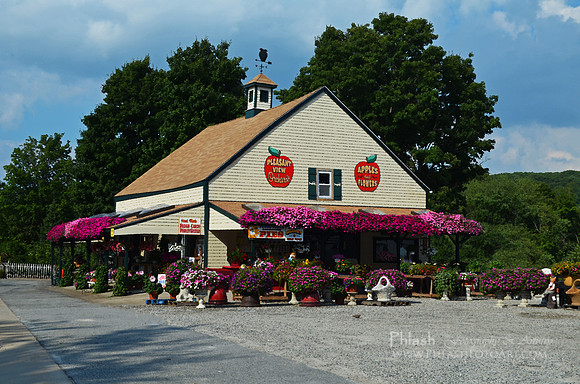 Pleasant View Orchard
