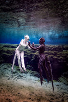 The Dance-1