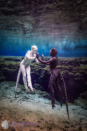 The Dance-1