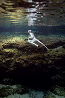 Creature Proof-5