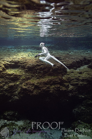 Creature Proof-5