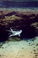 Creature Proof-3