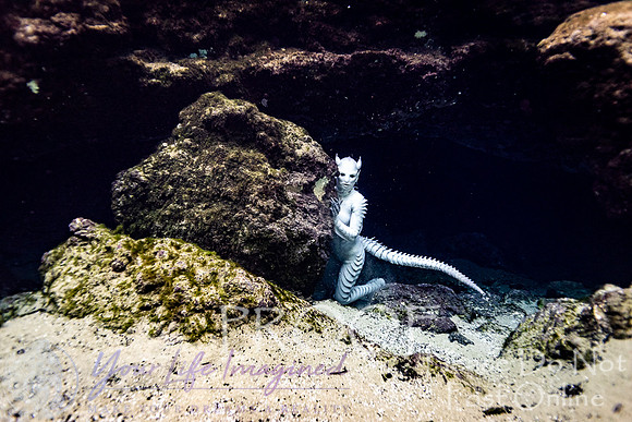 Creature Proof-8