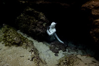 Creature Proof-11