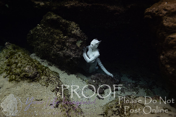 Creature Proof-11