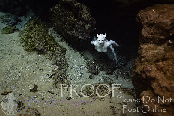 Creature Proof-14