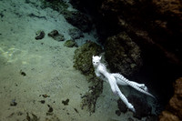 Creature Proof-16