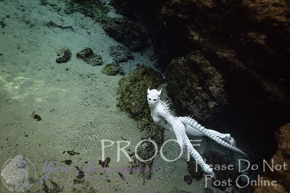 Creature Proof-16