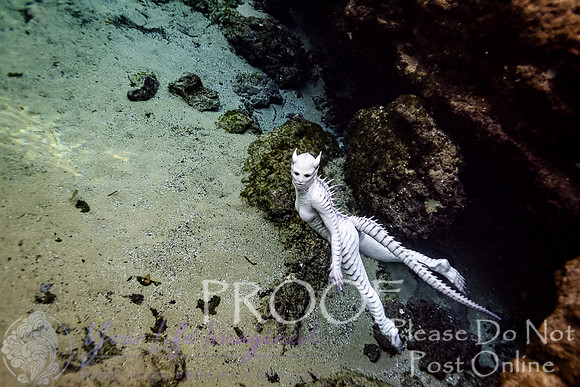 Creature Proof-17