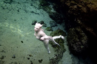 Creature Proof-19