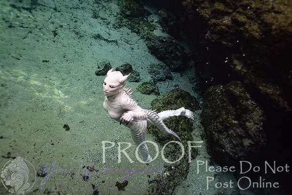 Creature Proof-19