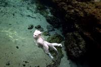 Creature Proof-18