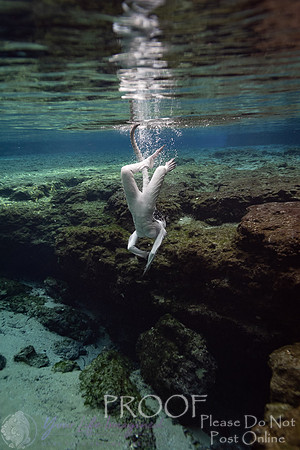 Creature Proof-21