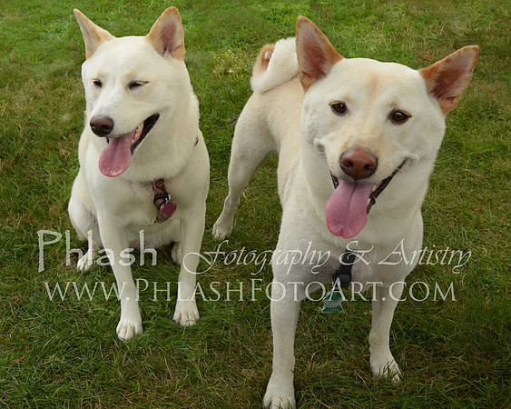 Cody & Vanilla