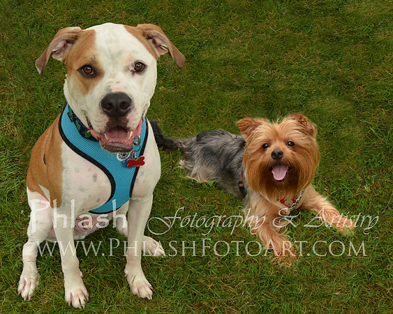 Harmony & Jake