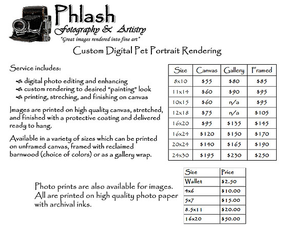 Pet Portrait Pricing
