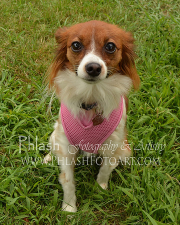 Zoey2