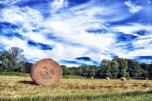 Hay Field Frolic