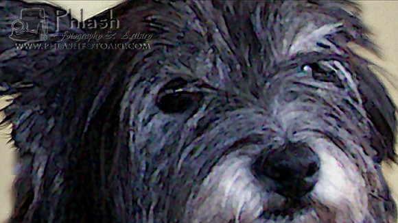 Zoomed