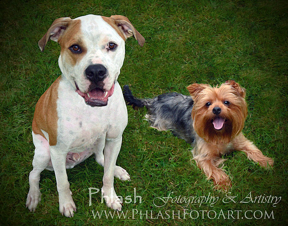 Harmony & Jake Portrait Test 1
