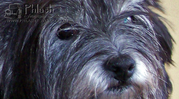 Margie Photo Zoomed 2