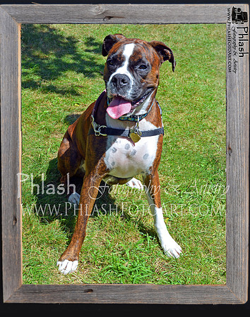 Ally 11x14 w Natural Frame