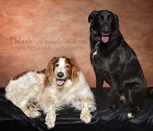 Luca & Murphy