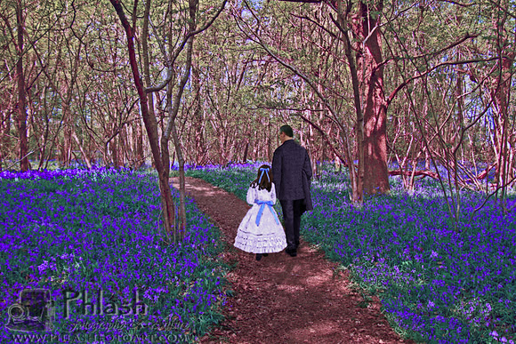 Walking in the Bluebells