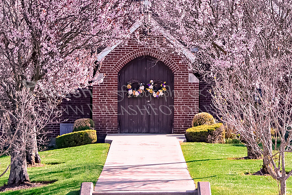 Spring Doors