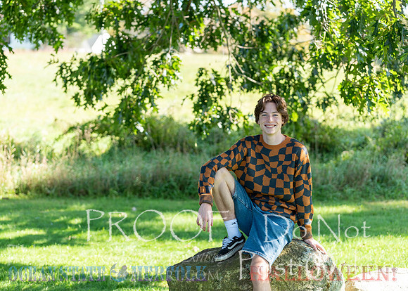Proofs-31