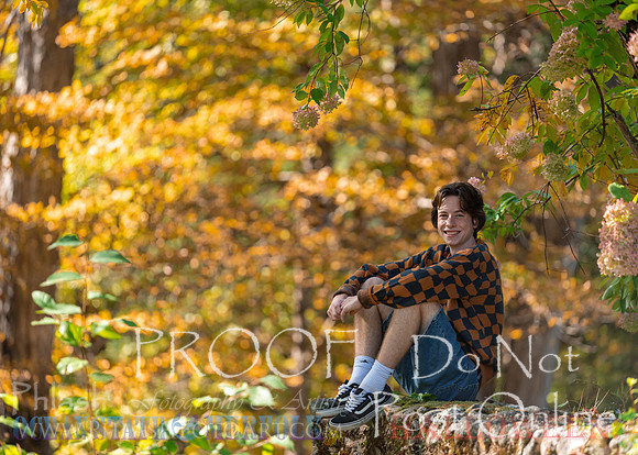 Proofs-129