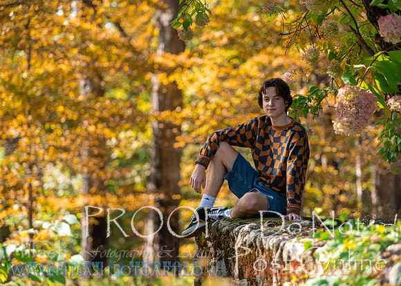 Proofs-131