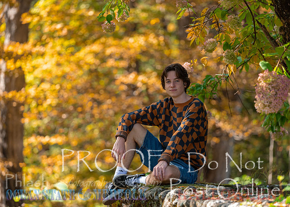 Proofs-133