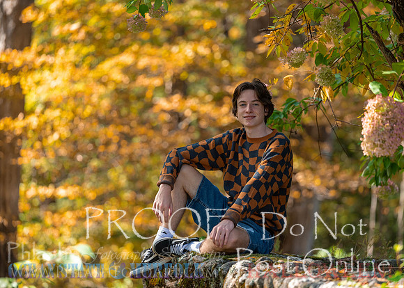 Proofs-134