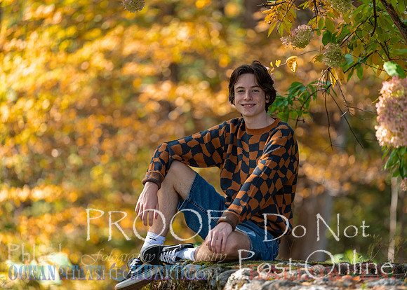 Proofs-135