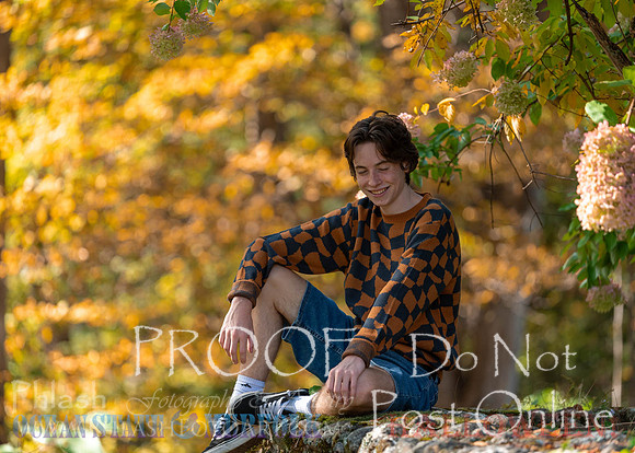 Proofs-136