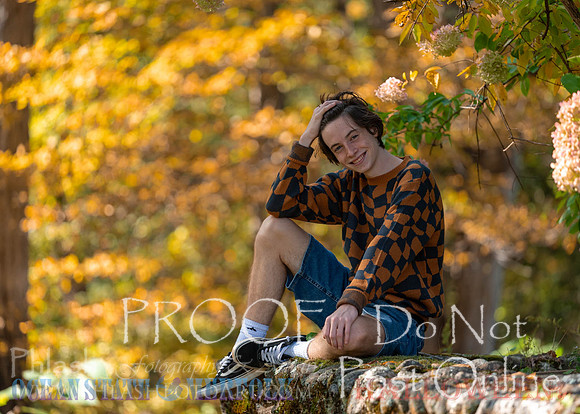 Proofs-137
