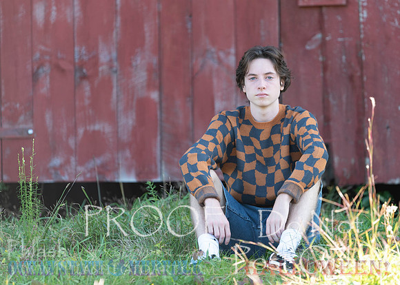 Proofs-176
