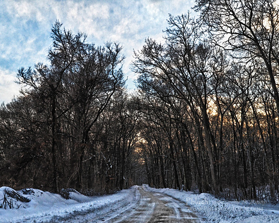 Snowy Road