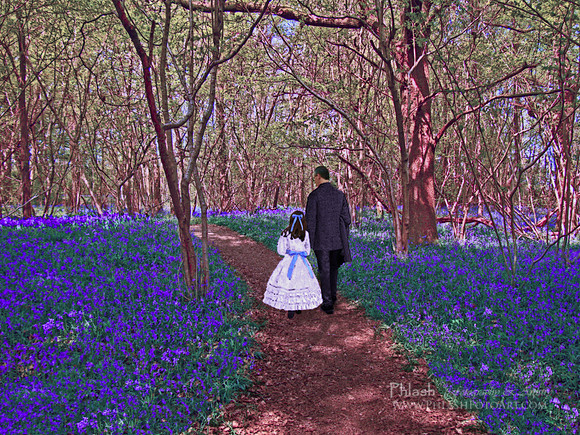 Walking in the Bluebells