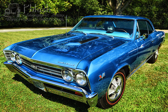 Chevelle Side 16x24