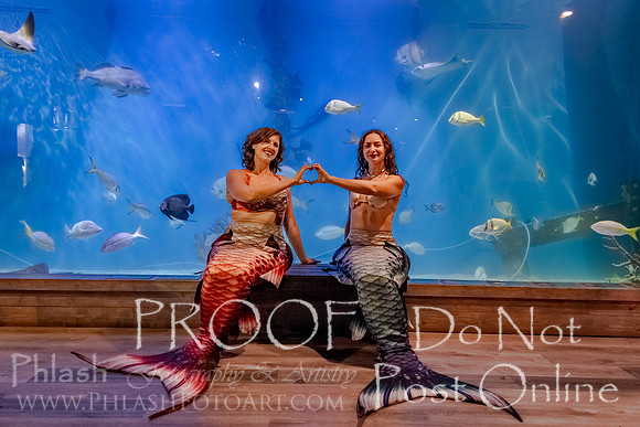 J&M-3